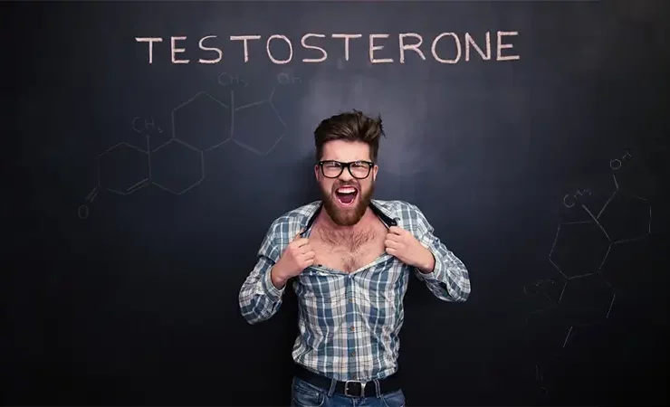 تستوسترون چیست